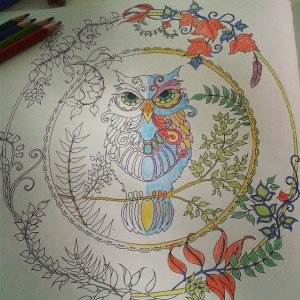 10724728_387951931392792_1866325277_n