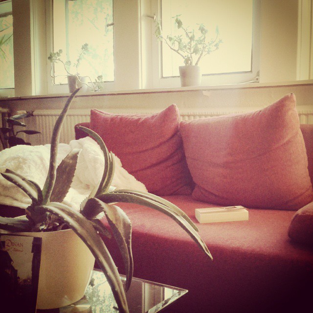 11379875_1592452614349065_99451473_n