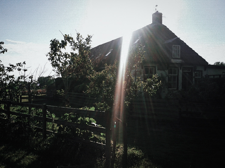 LRM_EXPORT_20180125_152933