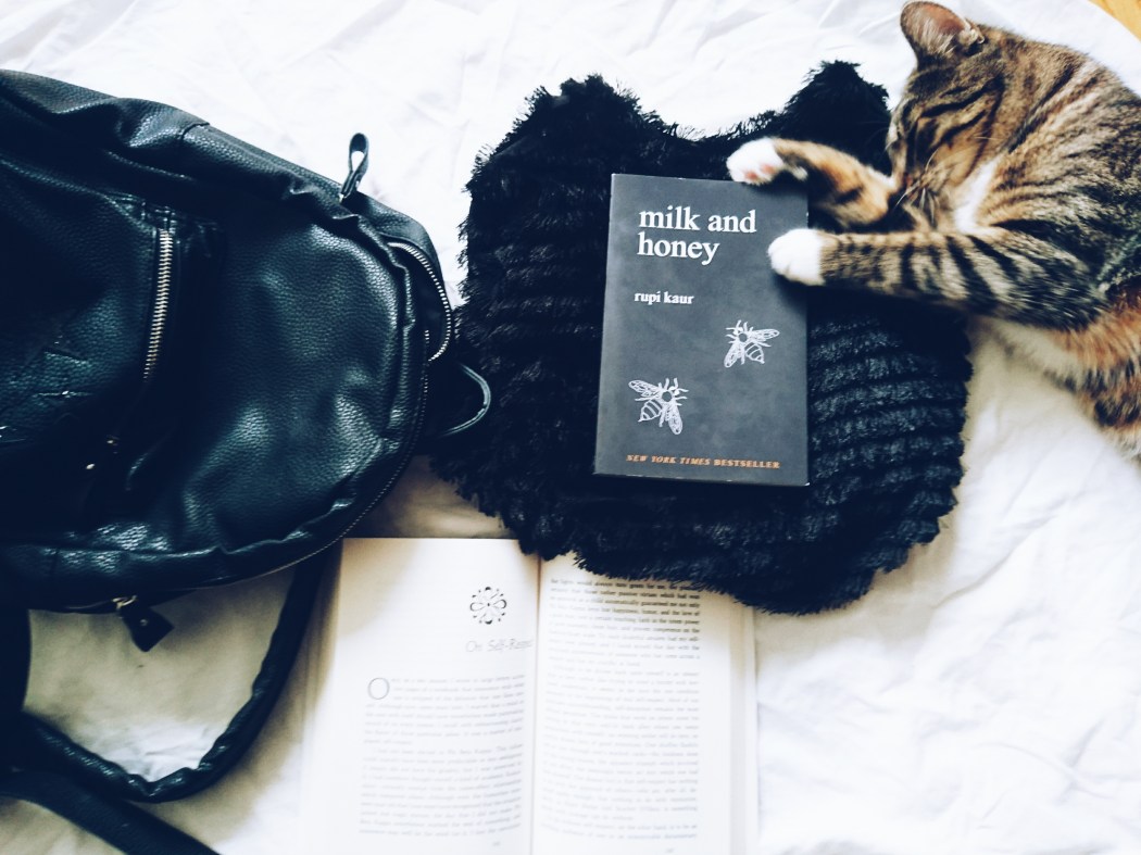 Rezension Rupi Kaur milk and honey milch und honig Gedichte