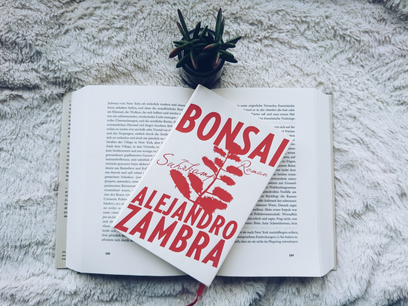 Alejandro Zambra  Bonsai  Letusreadsomebooks