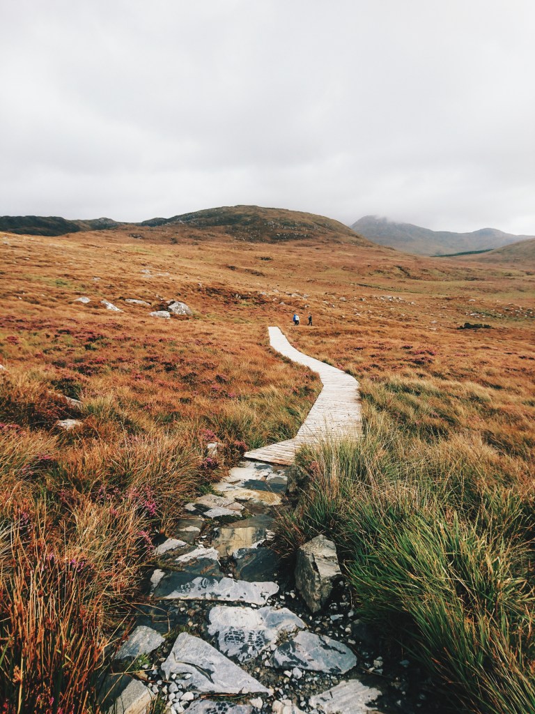 Connemara Nationalpark Natur Irland
