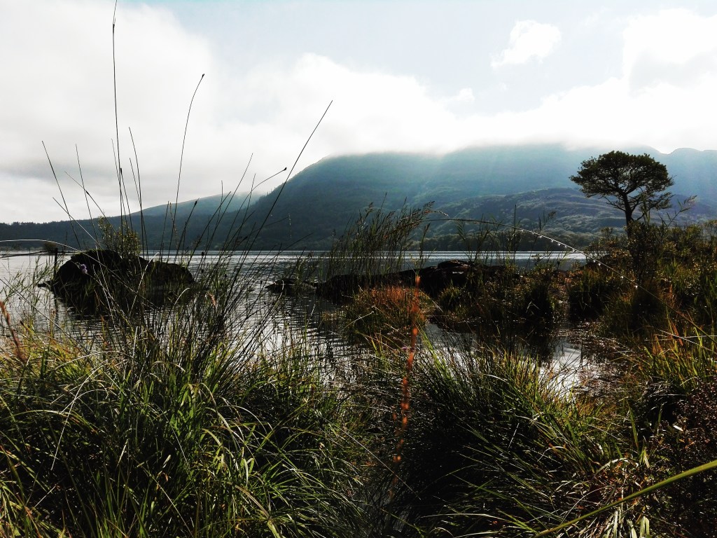 Killarney Nationalpark Irland Natur