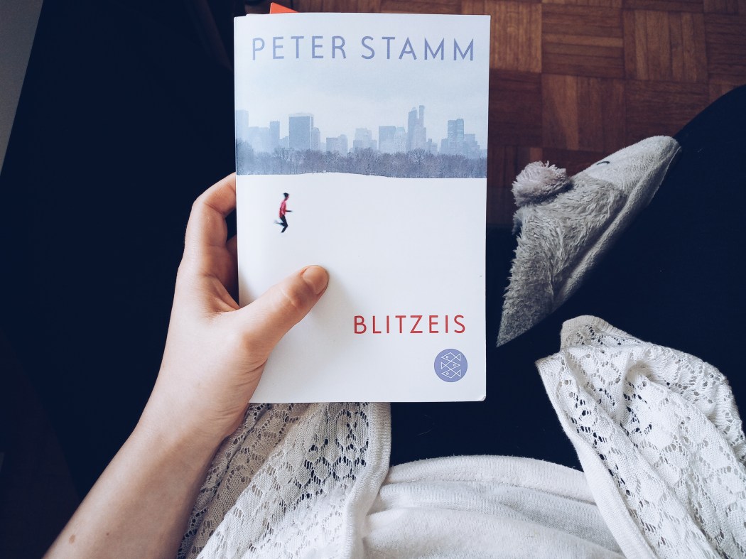 Peter Stamm Blitzeis Kurzgeschichten Rezension