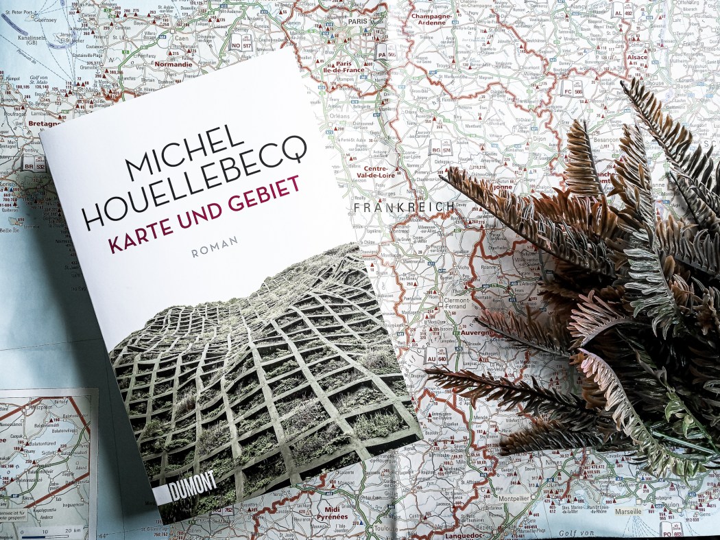 Michel Houellebecq Karte und Gebiet Rezension