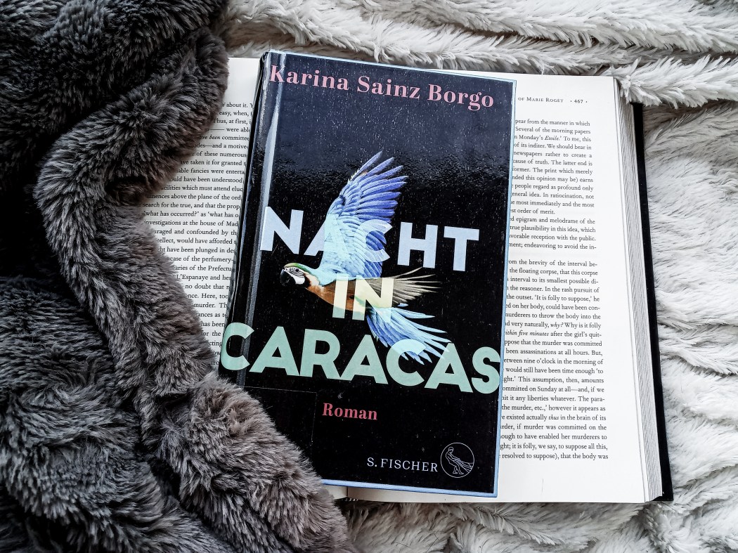 Karina Sainz Brogo Nacht in Caracas Rezension