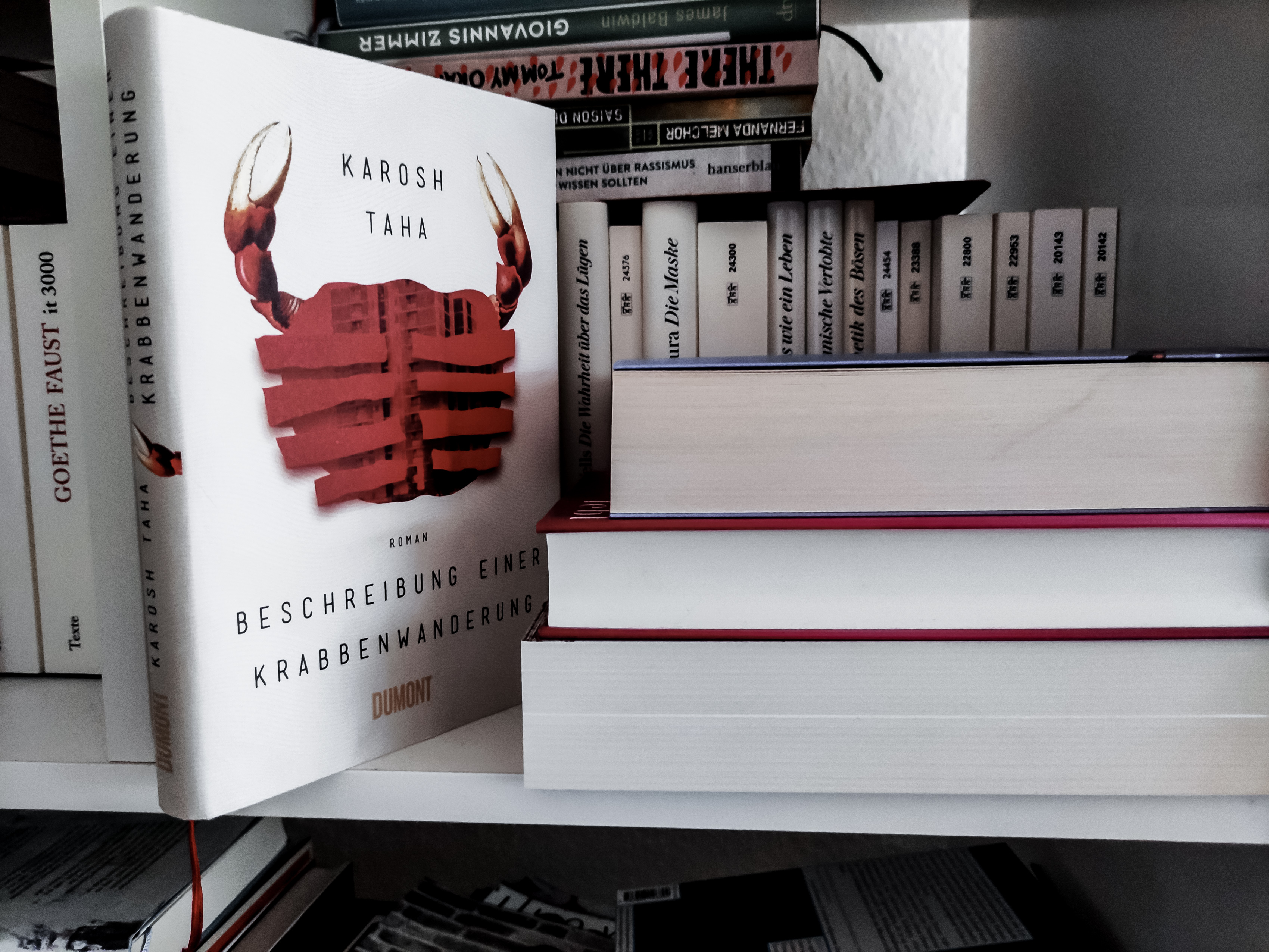 Karosh Taha Beschreibung einer Krabbenwanderung Rezension