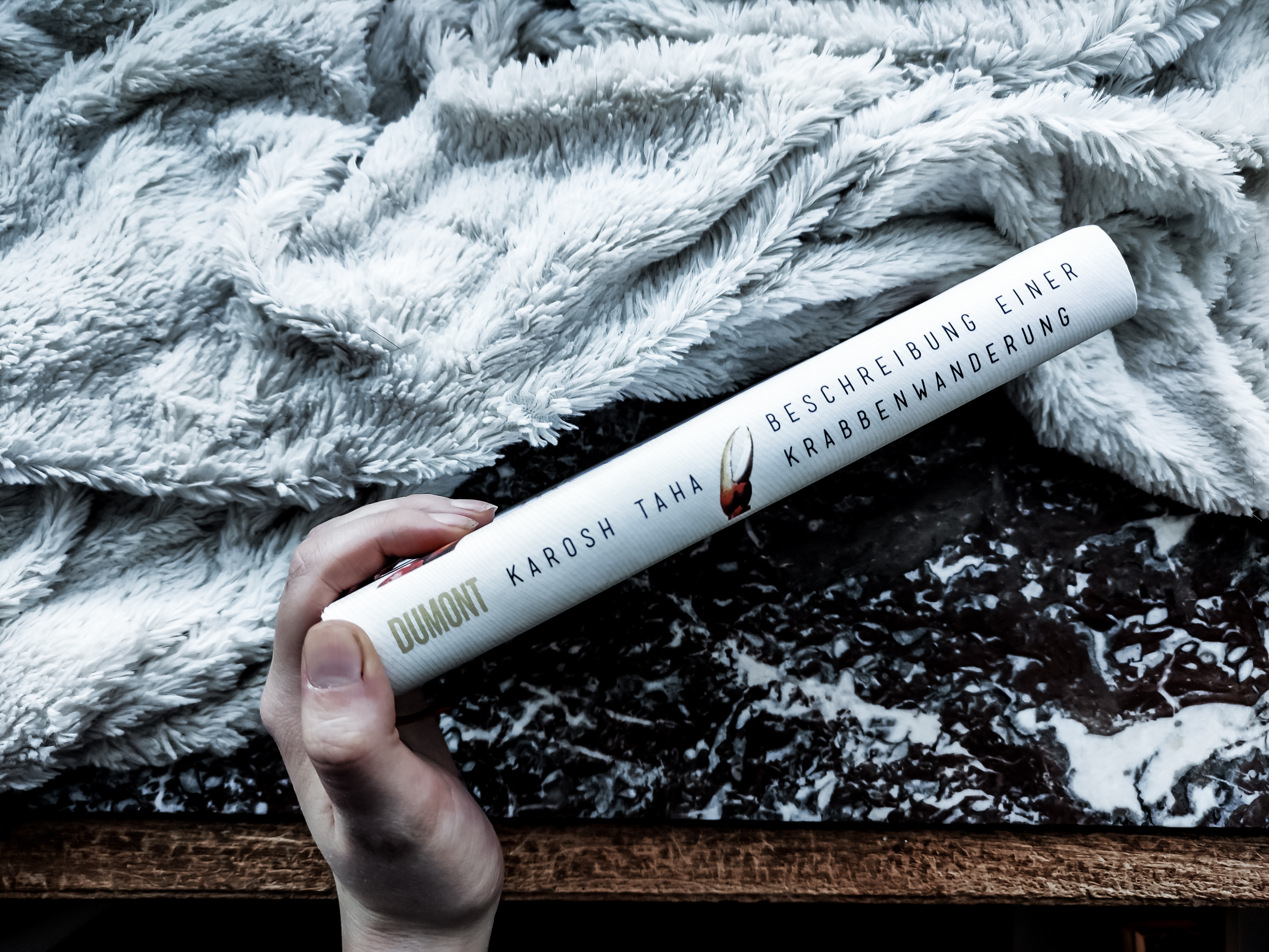 Beschreibung einer Krabbenwanderung Karosh Taha Rezension