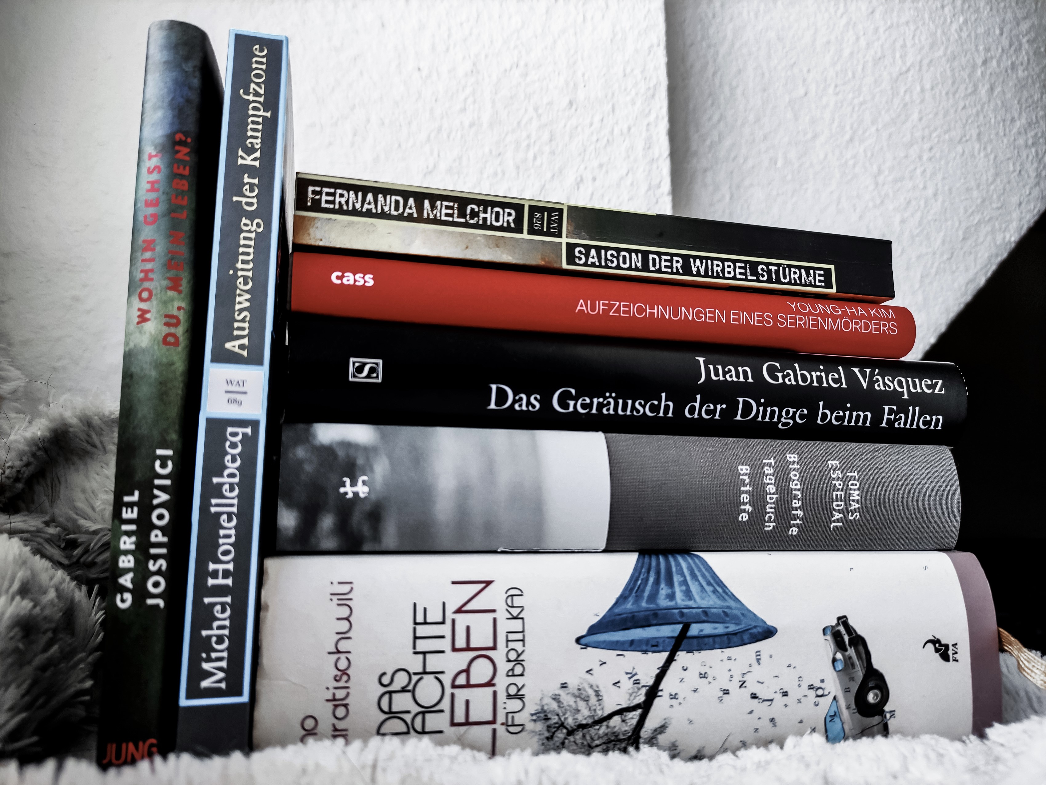 Das Geräusch Der Dinge Beim Fallen letusreadsomebooks.com