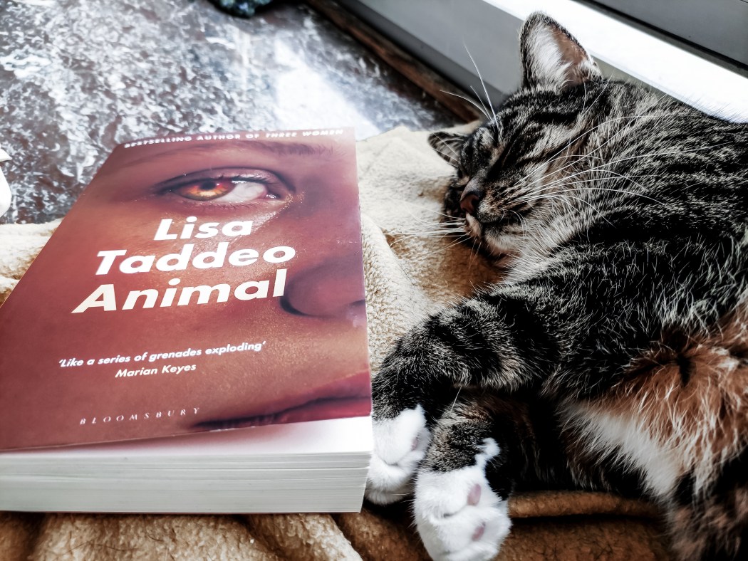 Animal Lisa Taddeo Rezension