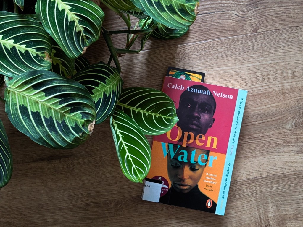 Caleb Azumah Nelson - Open Water Rezension